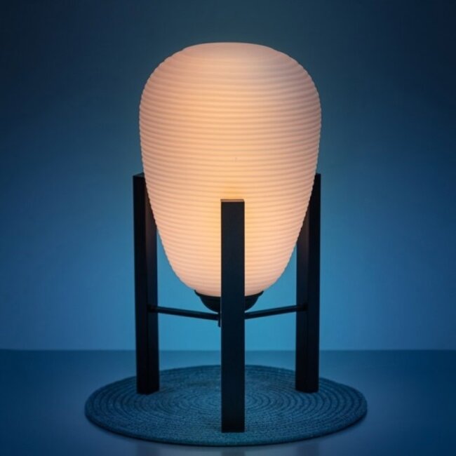 Lampe de table Carl - noir - 05-TL3345-30