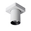 NIGEL - Ceiling spotlight - LED Dim to warm - GU10 - 1x5W 2200K/3000K - White