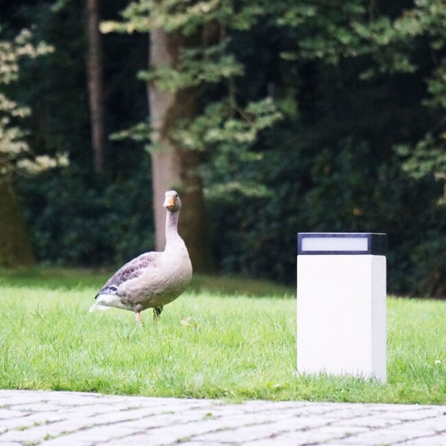 Landelijke Tuinpaal Q-BRI POLE SMALL