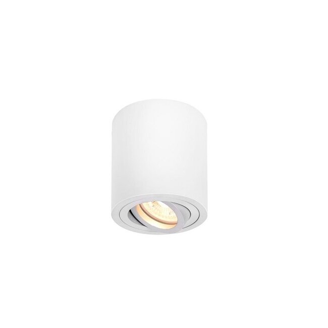 Triledo CL Plafondspot QPAR51