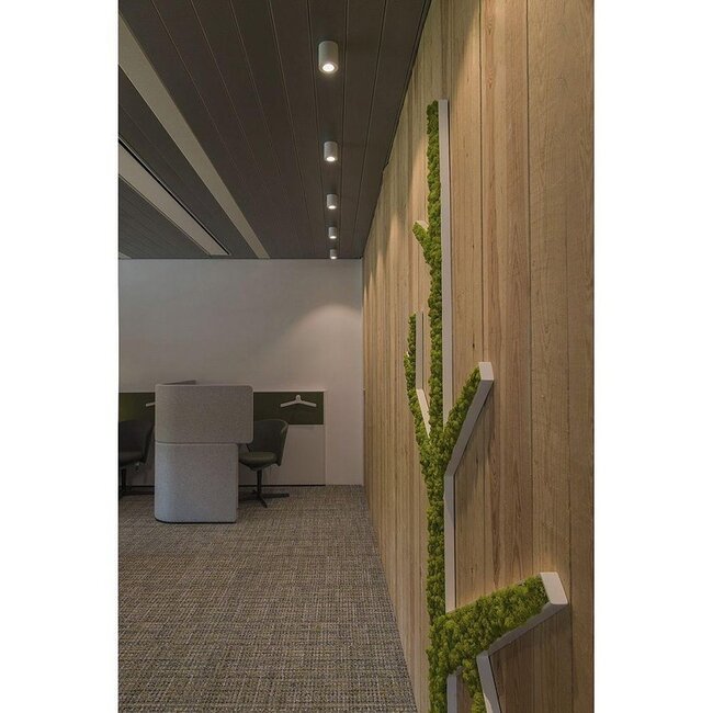 Spot de plafond Triledo CL QPAR51