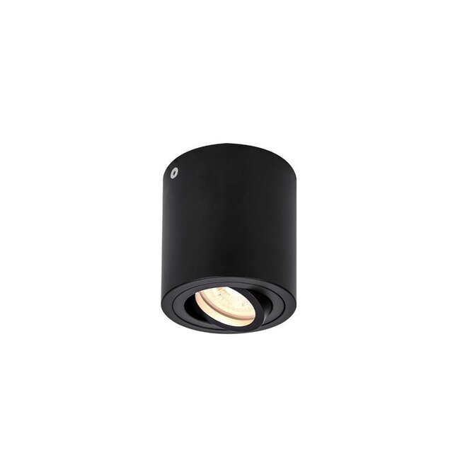 Triledo CL Ceiling spot QPAR51