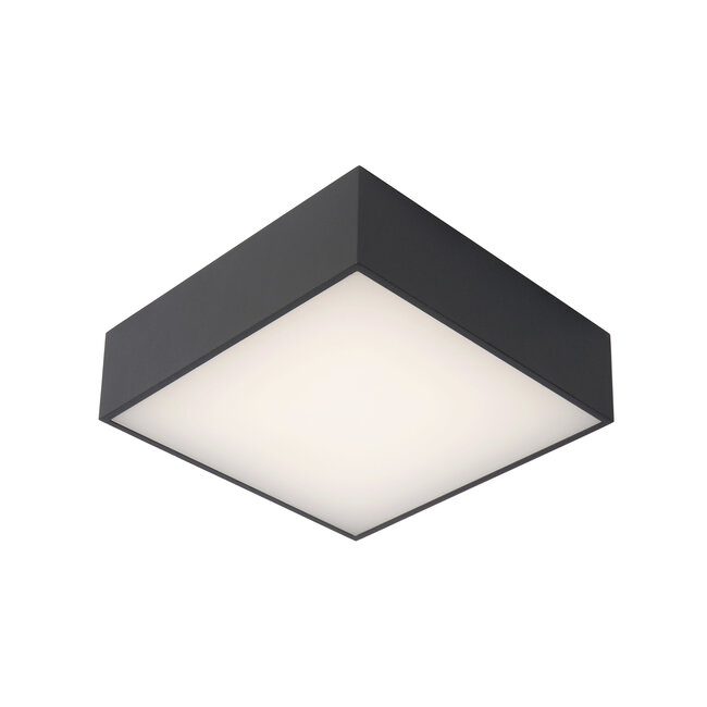 ROXANE - Plafonnière Badkamer - LED - 1x10W 2700K - IP54 - Antraciet