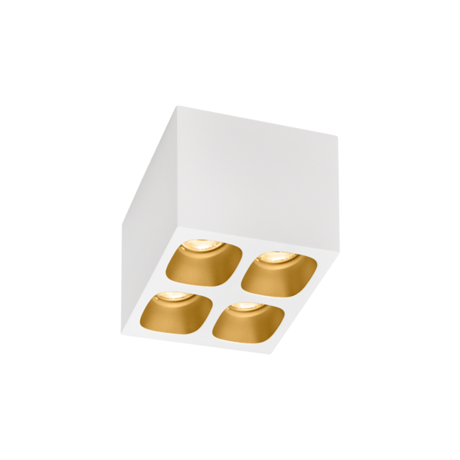 LED ceiling spotlight Pirro 4.1