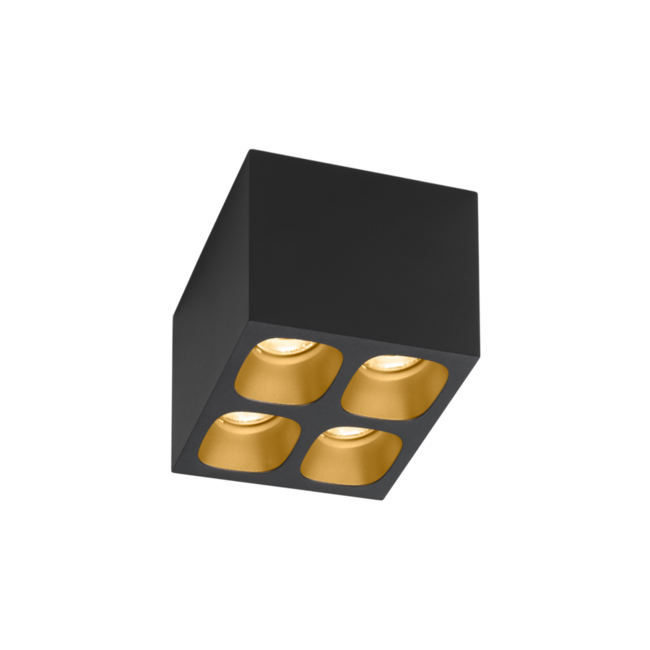 LED ceiling spotlight Pirro 4.1