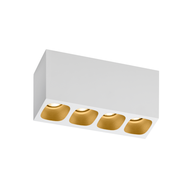 LED ceiling spotlight Pirro 4.0