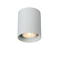 BODI - Ceiling spotlight - Ø 8 cm - 1xGU10 - White - 09100/01/31