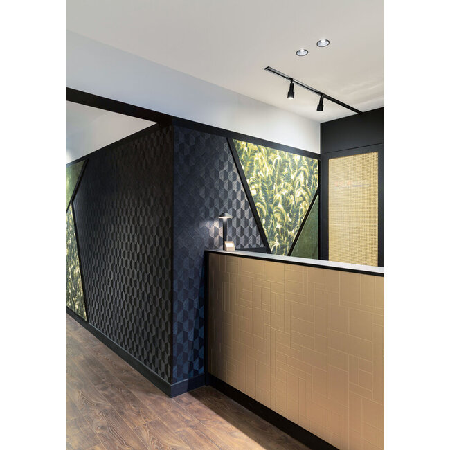 SARA ON TRACK 1.0 PAR16