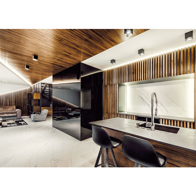 Plafondspot Box CEILING 1.0 LED