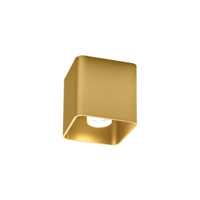 Plafondspot DOCUS 1.0 LED