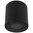 LioLights LEON surface-mounted spot IP44 GU10