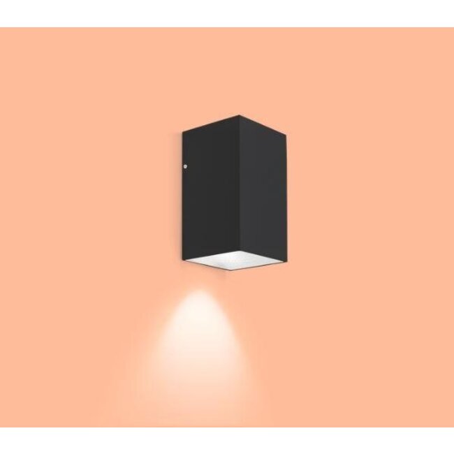 Applique à LED TRAIN OUTDOOR 1.0 IP65