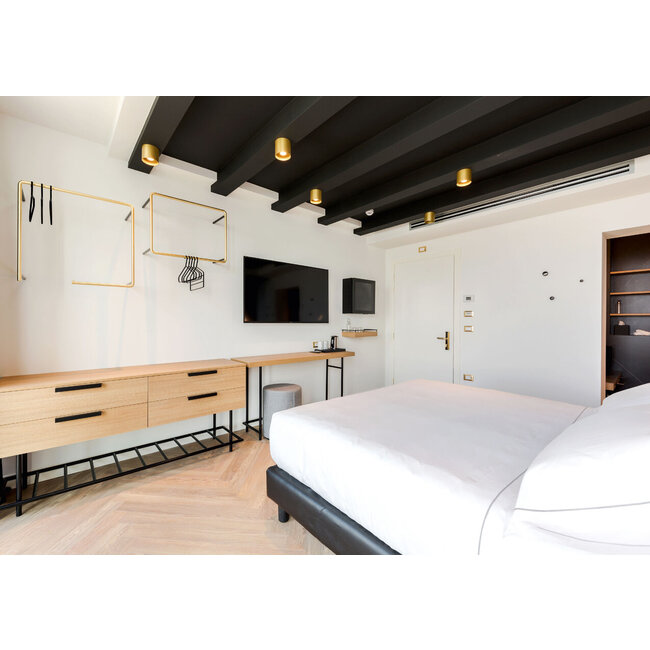 Spot de plafond Ray CEILING 1.0 PAR16