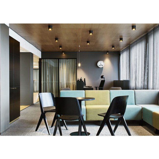 Spot de plafond Ray CEILING 1.0 PAR16