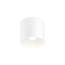 Ceiling spot RAY 1.0 LED