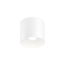 Plafondspot RAY 1.0 LED