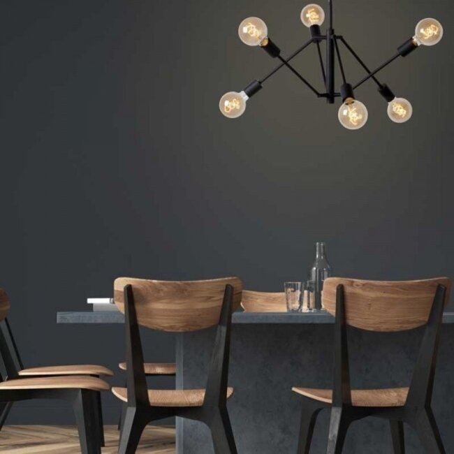 LESTER - Ceiling light - 6xE27 - Black - 21424/06/30