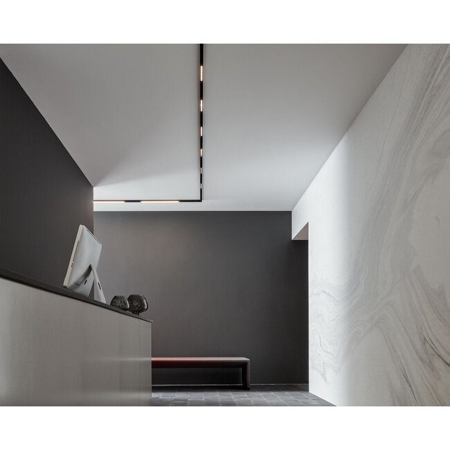 STREX 1.0 DOT DALI dim 48V-track