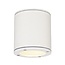 Plafondlamp Sitra Ceiling IP44