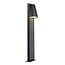 LIAM - Pedestal lamp Outdoor - 1xGU10 - IP44 - Anthracite - 29898/80/29