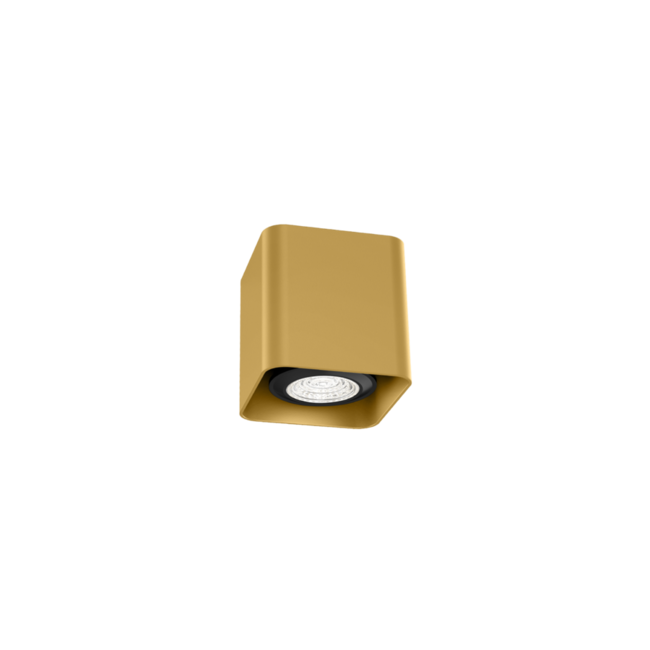 DOCUS MINI 1.0 CEILING PAR16 Gold