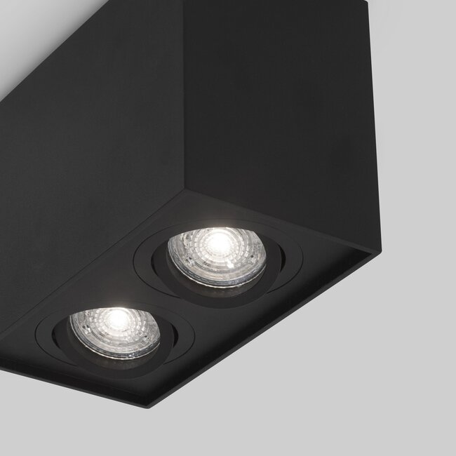 RENDE surface-mounted spot 2L - black - GU10