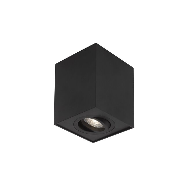 RENDE surface-mounted spot 1L - black - GU10