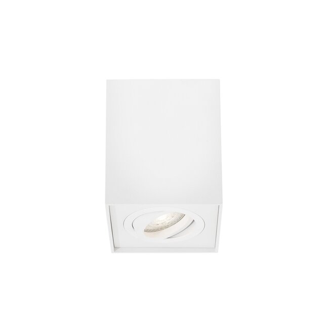 RENDE surface-mounted spot 1L - white - GU10