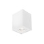 Nova Luce RENDE surface-mounted spot 1L - white - GU10