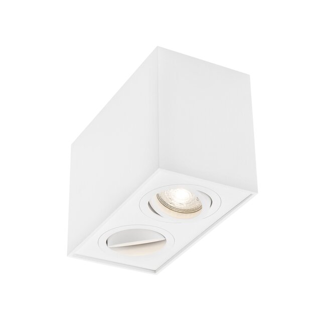 RENDE surface-mounted spot 2L - white - GU10