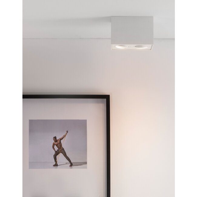 RENDE surface-mounted spot 2L - white - GU10