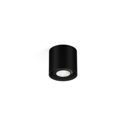 Wever & Ducré Ceiling spotlight Ray Mini 1.0 PAR16