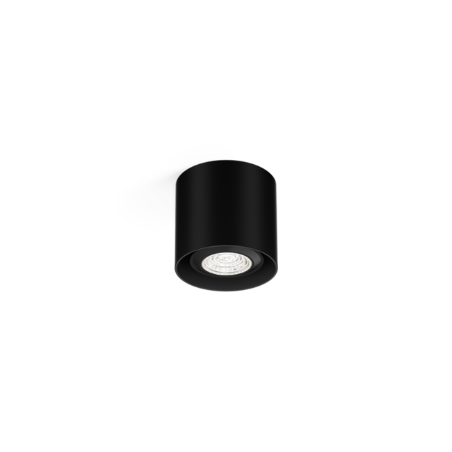 Ceiling spotlight Ray Mini 1.0 PAR16