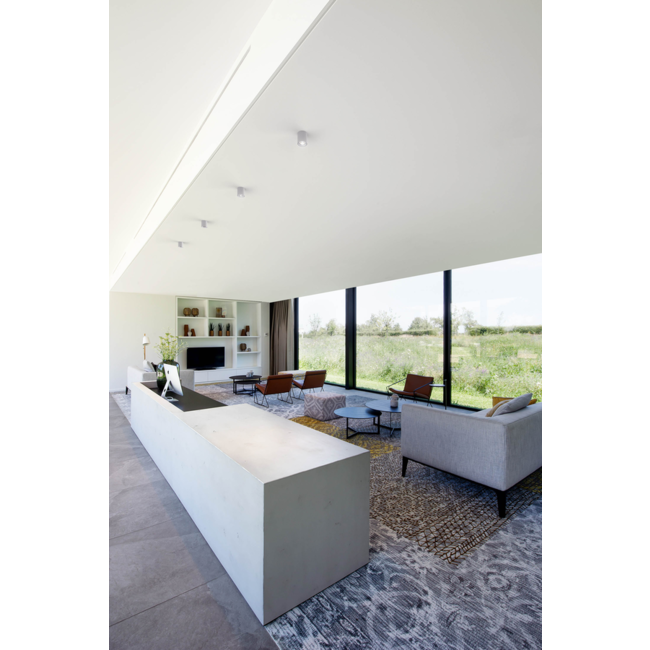 Spot de plafond Ray Mini 1.0 PAR16