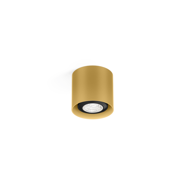 Spot de plafond Ray Mini 1.0 PAR16