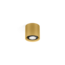 Ceiling spotlight Ray Mini 1.0 PAR16