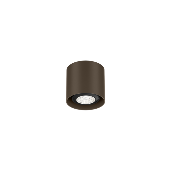 Ceiling spotlight Ray Mini 1.0 PAR16