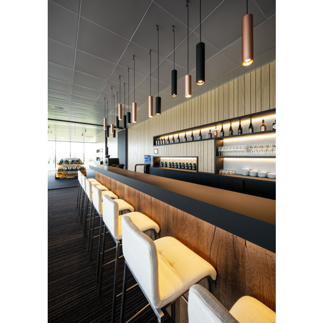 Ray 2.0 PAR16 pendant lamp