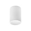 NED surface-mounted spot 1L - white - GU10