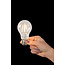 A60 - Filament lamp - Ø 6 cm - LED Dim. - E27 - 1x5W 2700K - Transparent - 49020/05/60