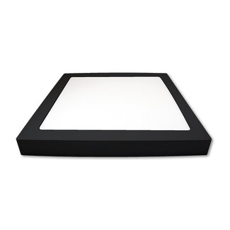LioLights PROMA Surface mounted LED panel 28x28 incl. 24W LED light source