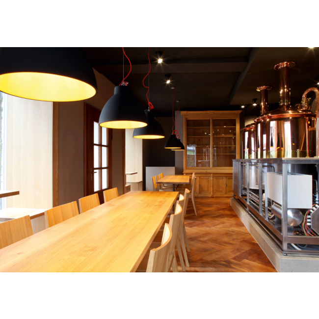 Bishop 8.0 hanging lamp