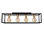 RUBEN - Ceiling lamp - 4xE27 - Black - 00124/04/30