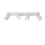 PUNCH - Ceiling spot - 4xGU10 - White - 13958/04/31