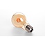 VITA LED filament lamp 4-40W DIM