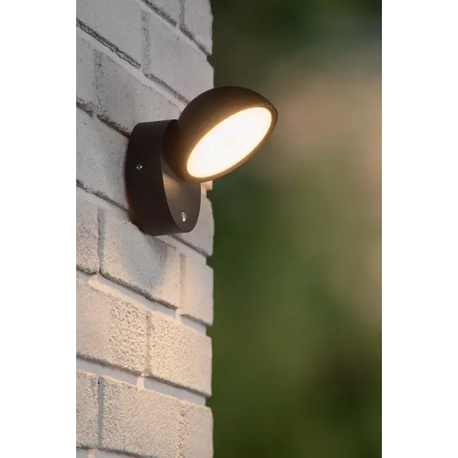 FINN - Wandlamp Binnen/Buiten - LED - 1x12W 3000K - IP54 - Zwart - 22865/12/30