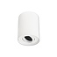 Spot en saillie LEON IP20 GU10