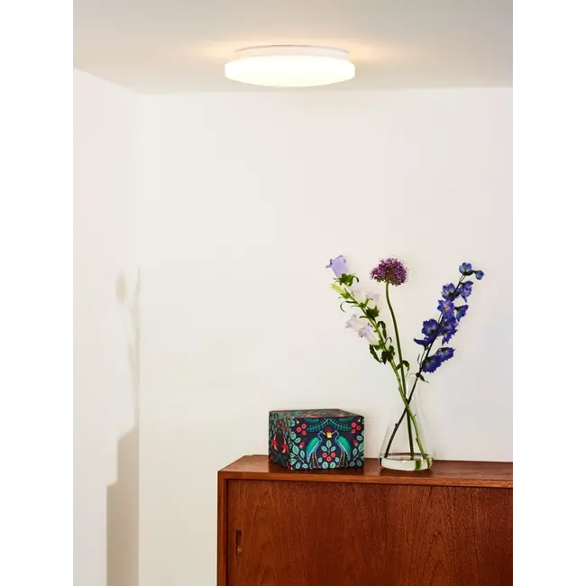 Lucide OTIS - Plafonnier - Ø 26 cm - LED - 1x14W 3000K - Opale