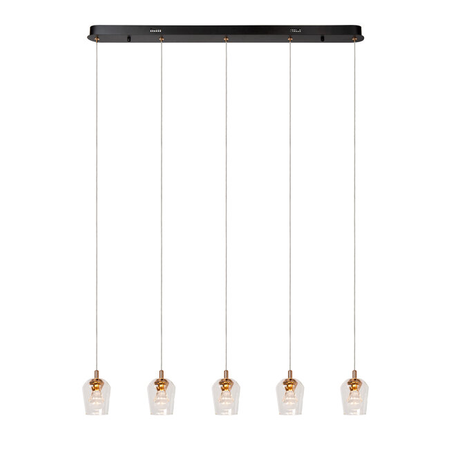 BERLIANE - Pendant light - LED Dim. - 5x4W 2700K - With replaceable LED module - Transparant - 00430/20/60