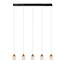 BERLIANE - Pendant light - LED Dim. - 5x4W 2700K - With replaceable LED module - Transparant - 00430/20/60